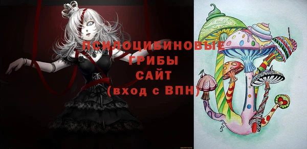 МДМА Ельня
