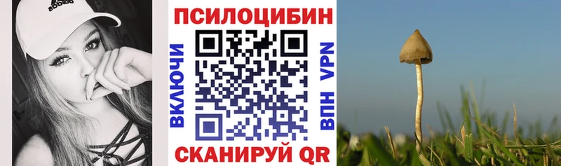 Псилоцибиновые грибы мицелий  Купить закладки  Галич 