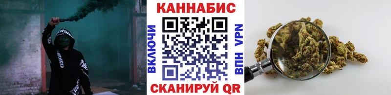 Купить где  Галич  Конопля план 